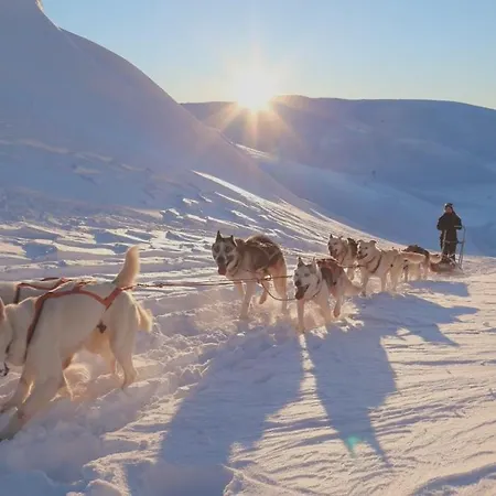 In Fjellstua 7
