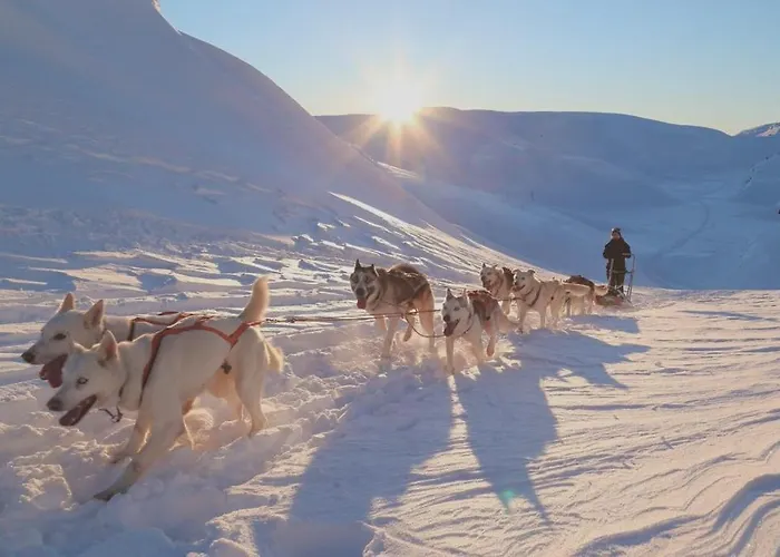 In Fjellstua 7